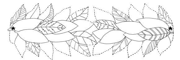 laurel leaf crown template laurel leaf crown template images template design ideas laurel leaf crown template laurel leaf crown template images template design ideas